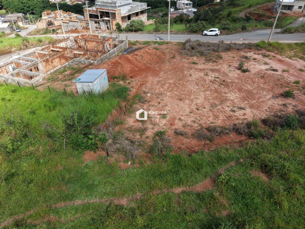 WhatsApp Image 2026-03-16 at 08.38.31.jpeg